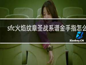 sfc火焰纹章圣战系谱金手指怎么用