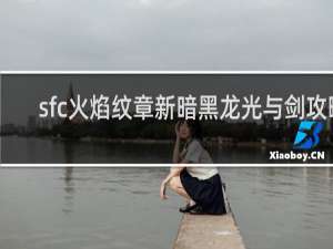 sfc火焰纹章新暗黑龙光与剑攻略