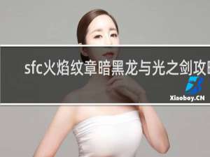 sfc火焰纹章暗黑龙与光之剑攻略