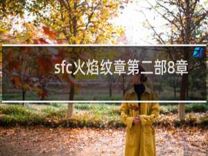 sfc火焰纹章第二部8章
