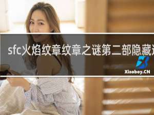 sfc火焰纹章纹章之谜第二部隐藏道具