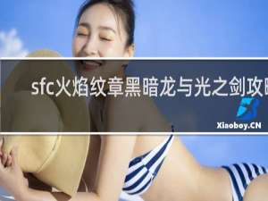 sfc火焰纹章黑暗龙与光之剑攻略