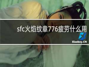 sfc火焰纹章776疲劳什么用