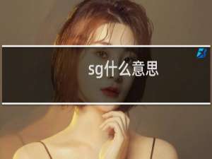 sg什么意思（sg什么意思）