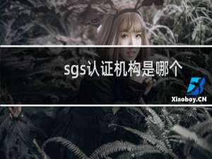 sgs认证机构是哪个国家的（sgs认证机构是什么）