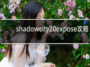 shadowcity expose攻略