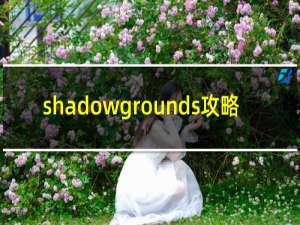 shadowgrounds攻略
