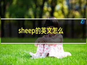 sheep的英文怎么读音（sheep英语怎么说读）