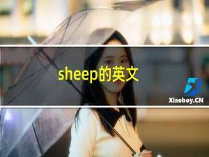 sheep的英文