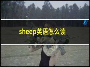 sheep英语怎么读