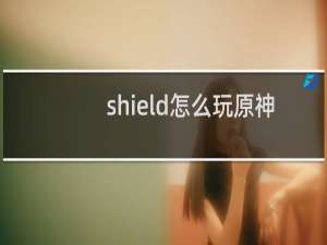 shield怎么玩原神