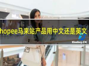 shopee马来站产品用中文还是英文