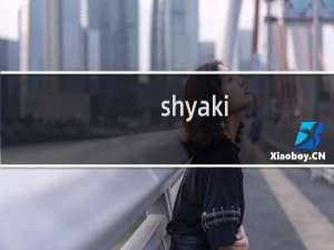 shyaki.com，这个域名目前是在西数账户下面吧？因为域