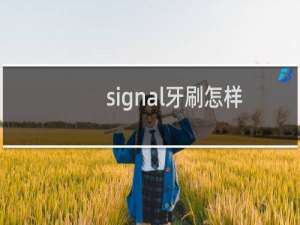 signal牙刷怎样