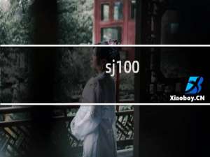 sj100.cc这个站点 昨天绑定了几个域名 但这些域名都打
