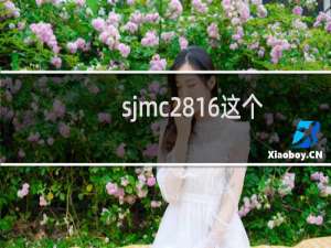 sjmc2816这个主机下面上传了数据库，恢复不成功，帮看下