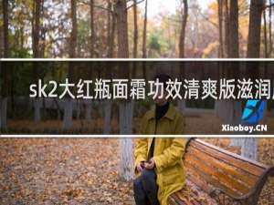 sk2大红瓶面霜功效清爽版滋润版