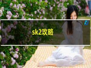 sk2攻略