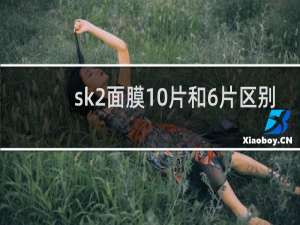 sk2面膜10片和6片区别