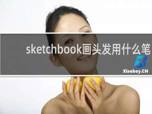 sketchbook画头发用什么笔