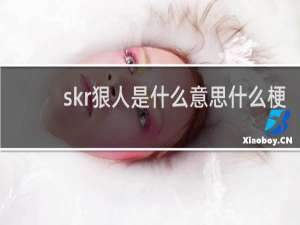 skr狠人是什么意思什么梗