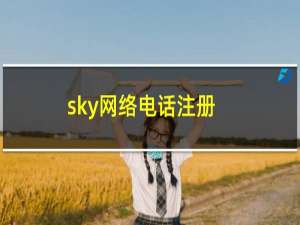 sky网络电话注册