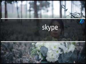 skype（无法启动怎么办）