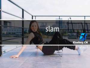 slam（sl）