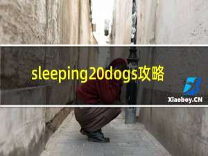 sleeping dogs攻略