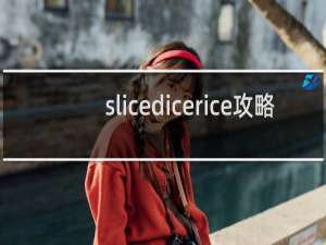 slicedicerice攻略