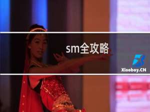 sm全攻略
