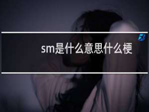 sm是什么意思什么梗