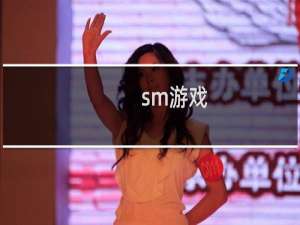 sm游戏