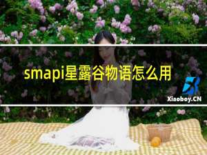 smapi星露谷物语怎么用