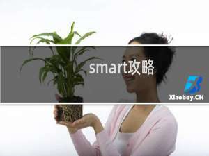 smart攻略