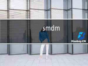 smdm（smdvd）