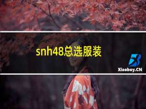 snh48总选服装