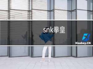 snk拳皇
