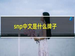 snp中文是什么牌子