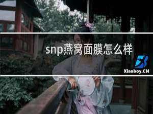 snp燕窝面膜怎么样