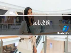 sob攻略