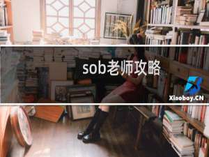 sob老师攻略