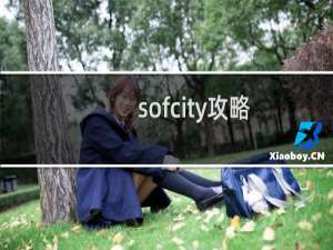 sofcity攻略