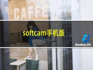 softcam手机版（softcam）