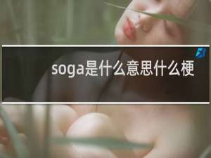 soga是什么意思什么梗