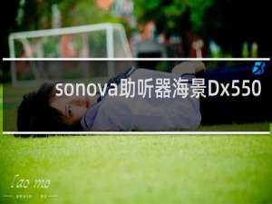 sonova助听器海景Dx550
