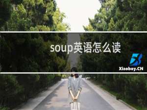 soup英语怎么读