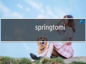 springtomize2教程及功能详细介绍（spring安卓版叫什么）