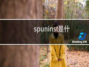 spuninst是什么软件（spuninst）