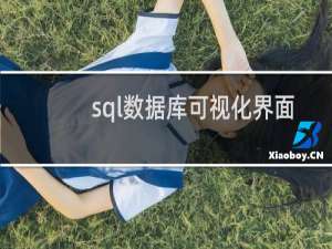 sql数据库可视化界面